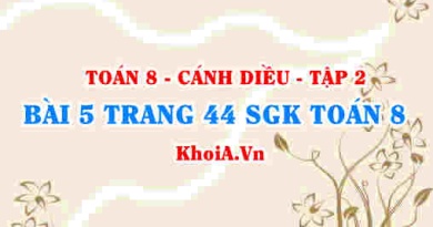 Bài 5 trang 44 Toán 8 Cánh Diều Tập 2